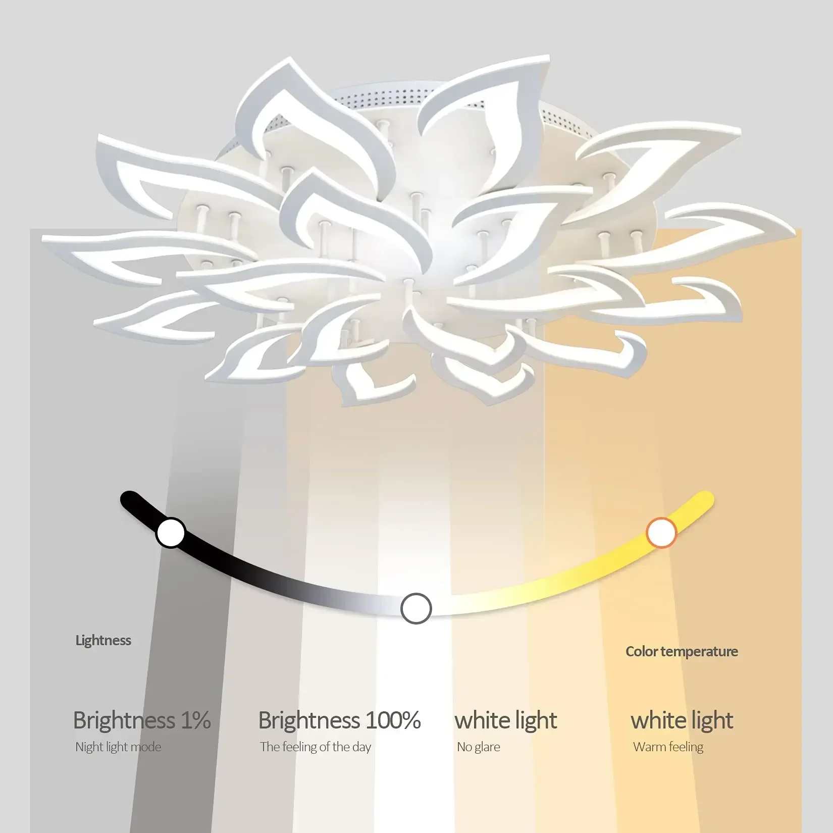 โคมระย้ากลีบดอก LED ของนักออกแ - Interior Design Luxury Living Room บทวิจารณ์และราคา